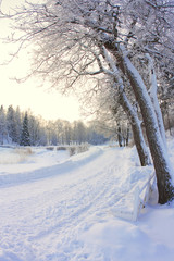 Snow-covered bench,