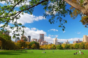 Tuinposter New York City Central Park with cloud and blue sky © rabbit75_fot