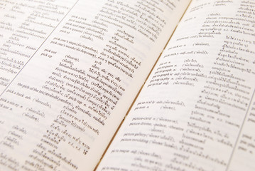 Fototapeta premium closeup of old paper dictionary book