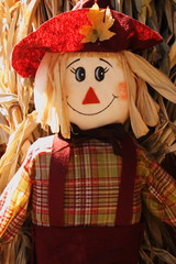 Obraz premium Pumpkin Patch Doll at the farm
