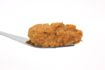 Fork full of re-fried beans