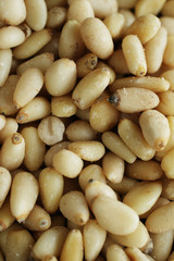 Pine nuts