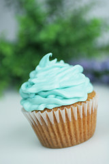 Blue cup cake