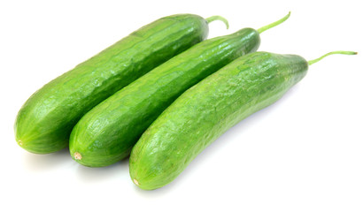 The fresh green cucumber