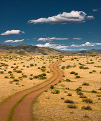 Field road