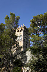 Fototapeta na wymiar antica torre in mezzo alla natura