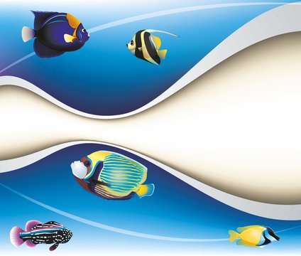 peces