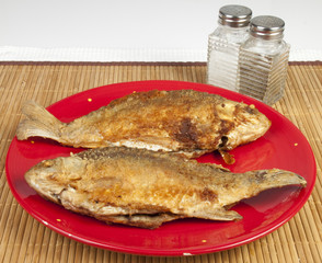 crucian