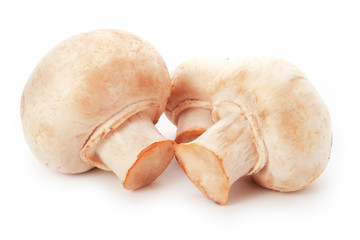 Champignon on white background, isolated