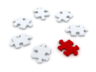 individuality puzzle