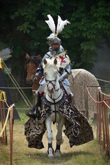 Chevalier #20