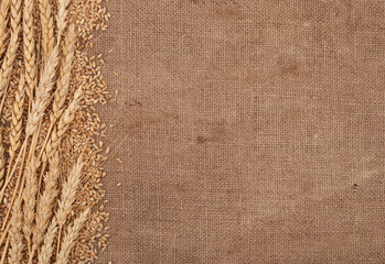 Wheat ears border on burlap background