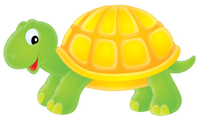 Turtle