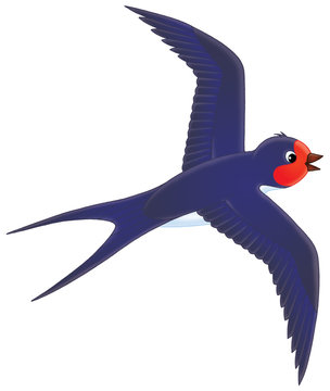 recommend clip art: Swallow