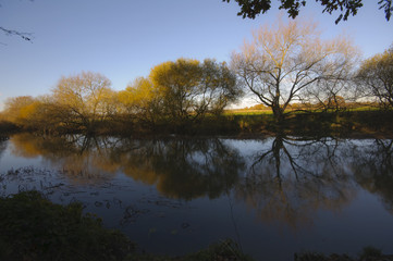 Obraz premium river reflection in winter dorset england