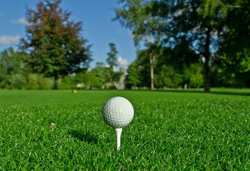 Golf ball on the tee