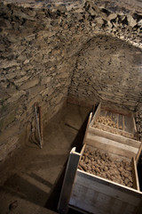 Vegetable cellar