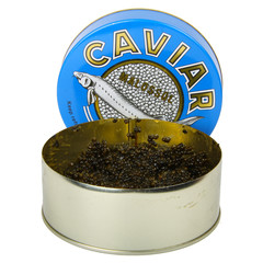 black caviar