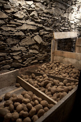 Vegetable cellar