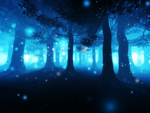 Fototapeta dark forest