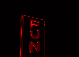 Fun neon sign