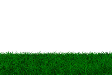 grass on white background. Isolated 3D image