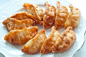 The Fried gyoza