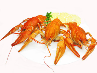 red river lobsters on plate with lemon