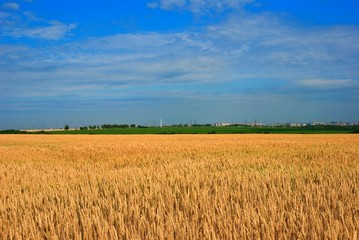 beautiful rural landscape