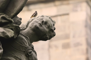 Sculpture and a bird
