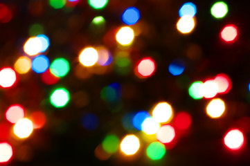 holiday lights
