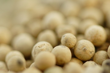 Poivre blanc
