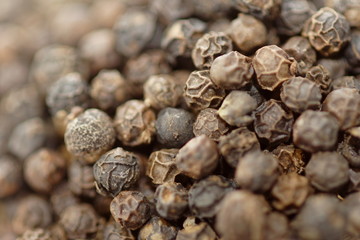 Poivre noir