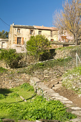 maison de village du cap corse (pietracorbara)