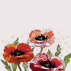 vector background with hand drawn red poppies