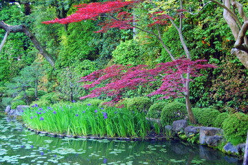 Tranquil Japanese garden