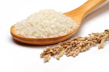 Rice on white Background