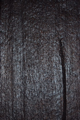 Obraz premium TEXTURA DE MADERA ANTIGUA