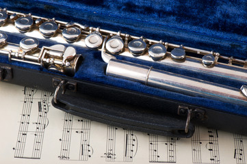 Obraz premium Black case with flute