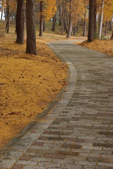 遊歩道