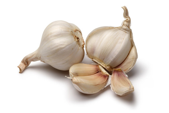 garlic