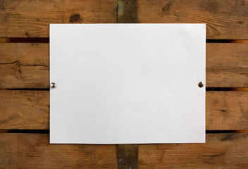 Blank paper on wooden wall