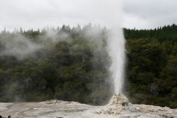 Erupting Geyser Landscape