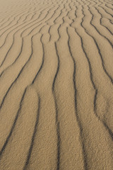 Sand Abstract