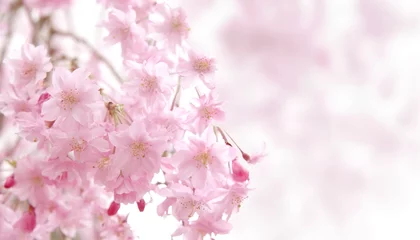 Fleecedeken met foto 桜 © bitter...。