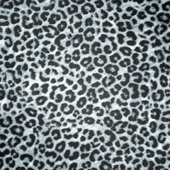 BW Leopard skin background or texture