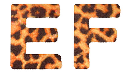 Leopard fur E and F letters isolated