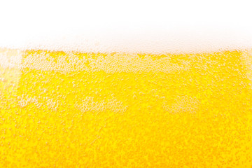 Bier