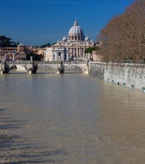Fototapeta premium saint peters basilica and Tiber river, roma