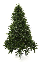 Bare Undecorated Christmas Tree over white